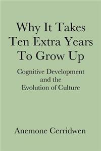 Why It Takes Ten Extra Years To Grow Up