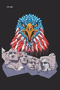 USA eagle