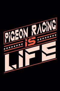 Pigeon Racing is Life