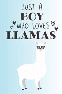 Just A Boy Who Loves Llamas