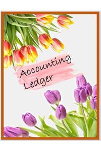 Accounting Ledger