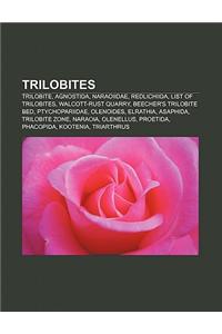 Trilobites: Trilobite, Agnostida, Naraoiidae, Redlichiida, List of Trilobites, Walcott-Rust Quarry, Beecher's Trilobite Bed, Ptych