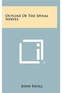 Outline of the Spinal Nerves