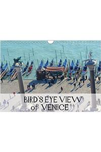 Bird's Eye Venice 2018