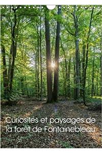 Curiosites Et Paysages De La Foret De Fontainebleau 2018