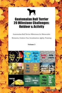 Guatemalan Bull Terrier 20 Milestone Challenges