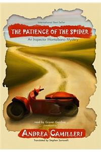 The Patience of the Spider