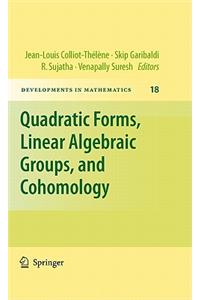 Quadratic Forms, Linear Algebraic Groups, and Cohomology