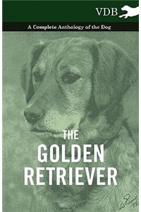 The Golden Retriever - A Complete Anthology of the Dog