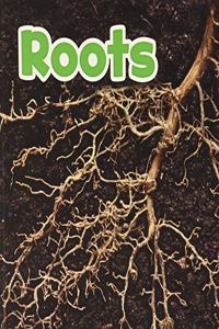 Roots