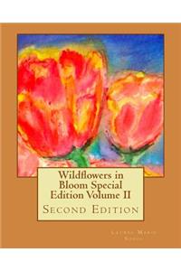 Wildflowers in Bloom Special Edition Volume II