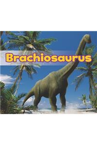 All About Dinosaurs Brachiosaurus