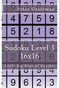 Sudoku Level 3 16x16