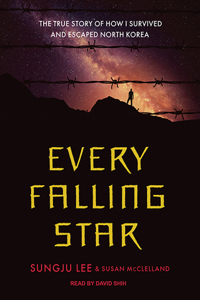 Every Falling Star