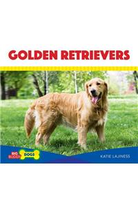 Golden Retrievers