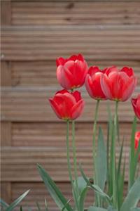 Red Tulips in the Garden Journal