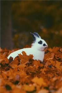 A Black and White Rabbit Sitting in Some Orange Leaves in Autumn Journal
