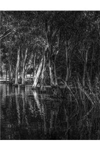 Reflections