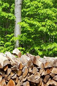 Journal Springtime Woodpile