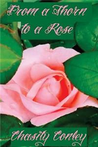 From a Thorn to a Rose