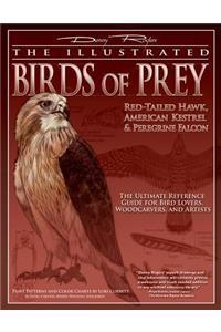 Illustrated Birds of Prey: Red-Tailed Hawk, American Kestral, & Peregrine Falcon