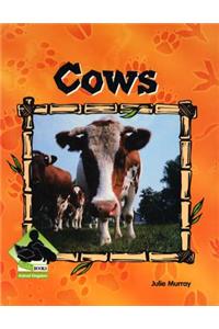 Cows