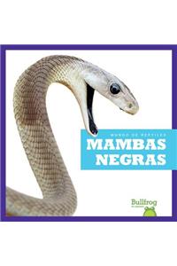 Mambas Negras (Black Mambas)