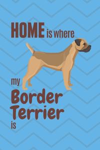 Home is where my Border Terrier is
