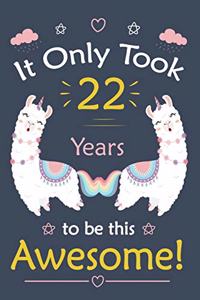 It only Took 22 Years To Be This Awesome!
