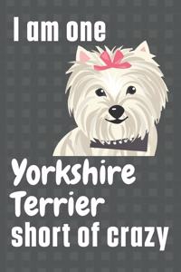 I am one Yorkshire Terrier short of crazy