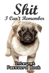 Shit I Can't Remember