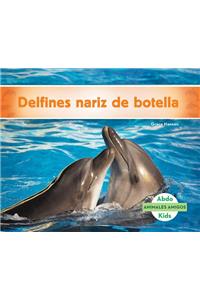 Delfines Nariz de Botella (Bottlenose Dolphins)