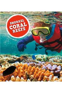 Snorkel Coral Reefs