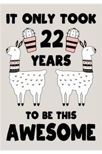 It only Took 22 Years To Be This Awesome