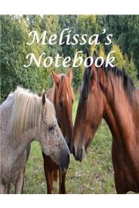 Melissa's Notebook