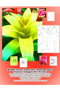 Bright Color Contrast Photography Flower Images Art Prints Learn Art Styles the Easy Coloring Book Way +Soft Shady Line Black White Drawings by Artist Grace Divine