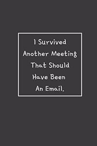 I Survived Another Meeting That Should Have Been An Email.