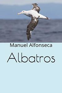 Albatros