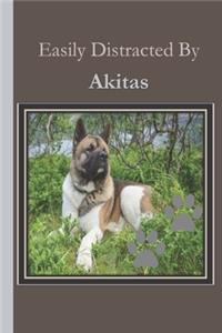 Easily Distracted By Akitas