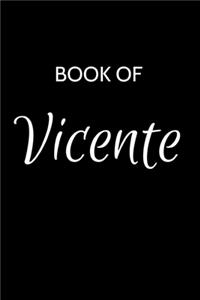Vicente Journal