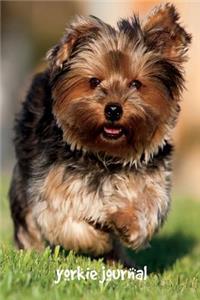Yorkie Journal