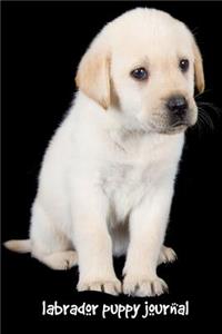 Labrador Puppy Journal