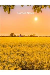 Cornell Notes