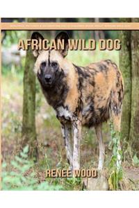 African Wild Dog