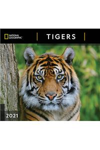 Cal 2021- National Geographic Tigers Wall