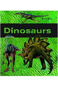 Dinosaurs Octagonal Box Set