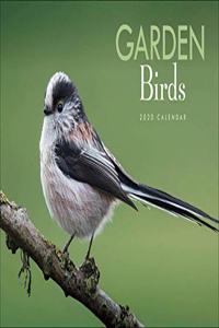 GARDEN BIRDS A4 2020