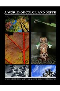 A World of Color and Depth