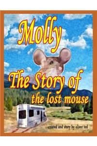 The story of the lost mouse