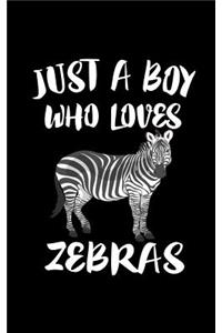 Just A Boy Who Loves Zebras
